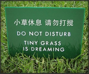 engrish_signs_t.jpg
