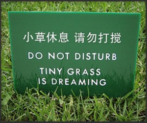 engrish_signs_t.jpg