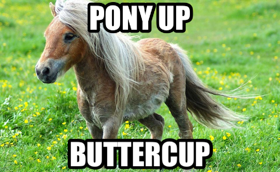 pony-up-buttercup